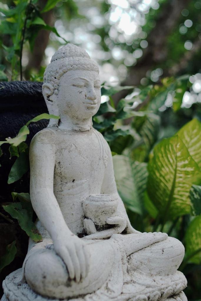Sattva Yoga Retreat Villas Canggu Eksteriør bilde